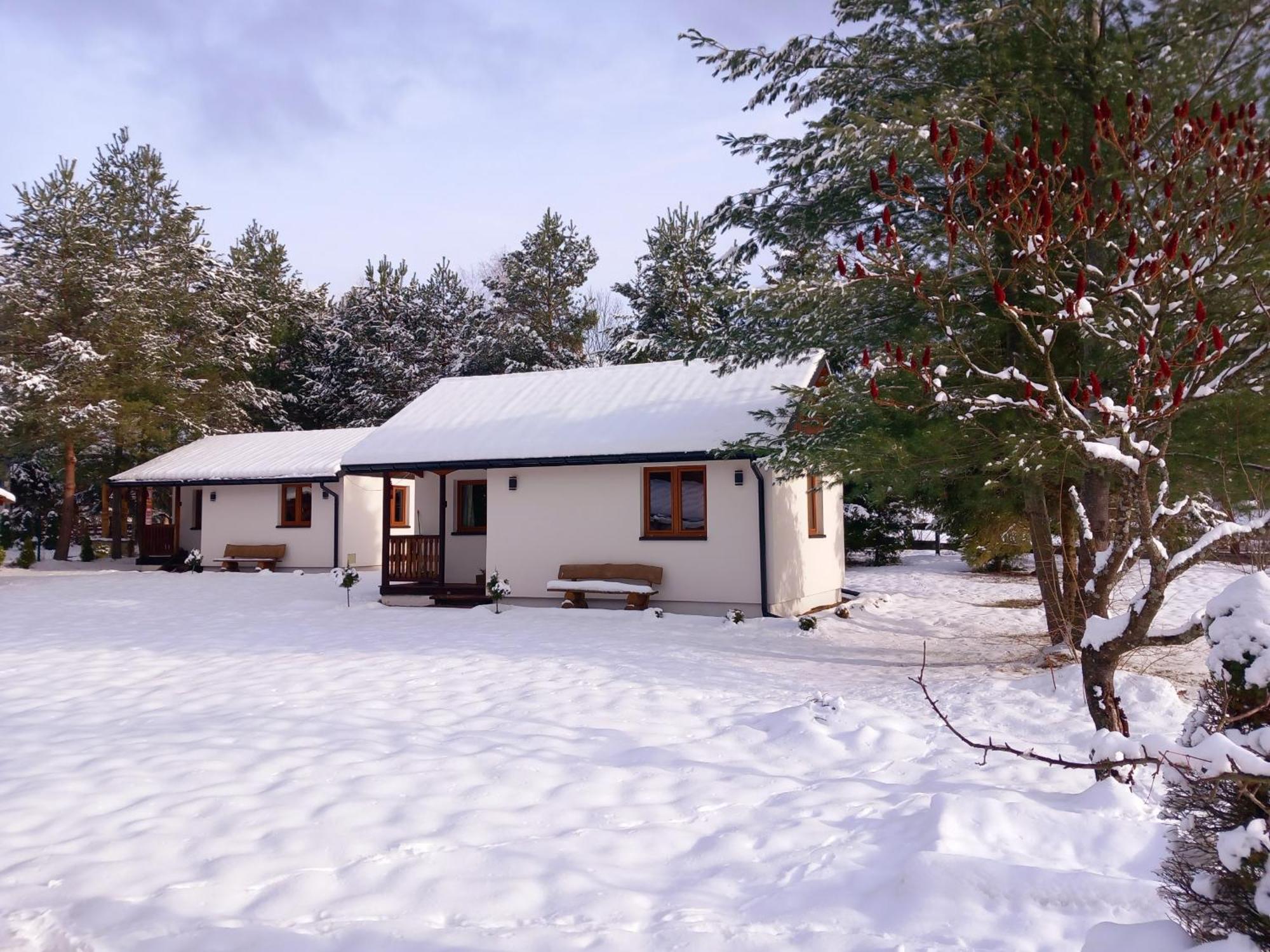 Chatki Lesniczego Bukowiec  Exterior photo